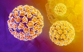 Tipificación genómica de virus del papiloma humano (HPV)